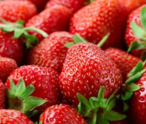 Monterey strawberries grown by Beeco